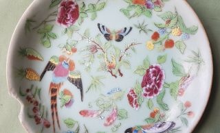 Antique Chinese Famille - Verte Pottery Plate,  Birds and Butterfly 3