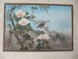 Chinese Or Japanese Oriental Framed Painting Bird,  Flowers & Landscape Signed