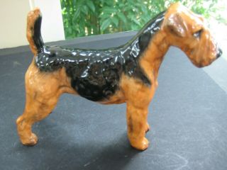 Royal Doulton 5 - 1/4 " Airedale Terrier Cotsford Topsail Dog Figurine Hn 1023