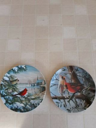 Edwin Knowles Cardinal Plates,  " The Cardinal " & " Cardinals In Winter "