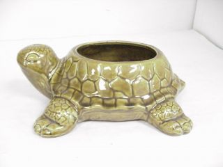 Turtle Planter Jenkin Ceramic Pottery