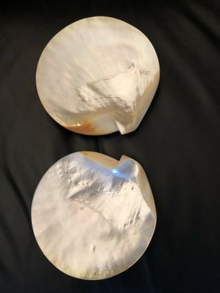 Caviar Polished Mother Of Pearl Round Gold Lip Shell Plates Pair