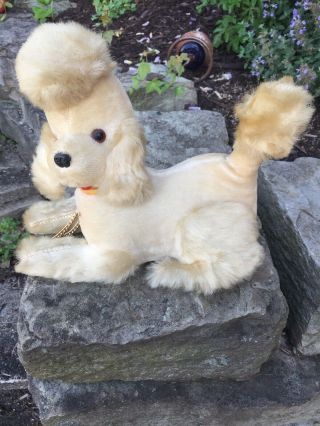 Vintage 1950 - 1960 Straw Stuffed Poodle Dog Toy With Radio In Belly