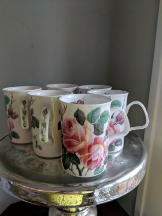 Set Of 6 Roy Kirkham English Rose Fine Bone China Tea Mugs Coffee Cups England