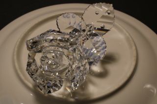 Swarovski Silver Crystal Rose With Dew Drops 7478nr000001 No C Of A