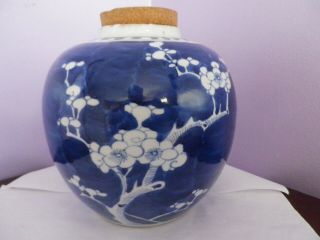 Large Vintage Chinese Hand - Painted Prunus Tree Design Ginger Jar/pot 17 Cms Tall