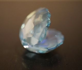 Swarovski Shell With Pearl,  Light Blue Figurine 6