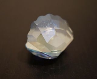 Swarovski Shell With Pearl,  Light Blue Figurine 8