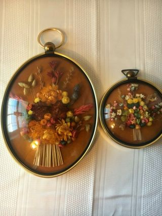 Cideart Made In Belgium Set Of 2 Enclosed Flower Wall Hanging Convex Glass