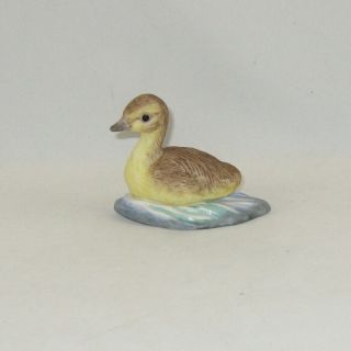 1978 Limited Edition 181 Boehm Porcelain Bird Sculpture " Canada Gosling " S4