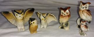 Vintage Owls Hard Plastic Family 6 Piece Set Miniature