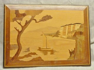 Lovely Sorrento Italy Inlaid Marquetry Picture Different Woods Hand Made Plaque