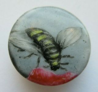 Fabulous Antique Vtg Porcelain Stud Picture Button W/ Bee Insect 1 " (z)