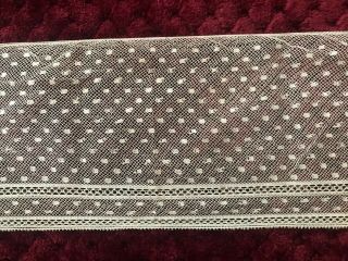 Gorgeous Antique Lace Edging - Embroidery On Silk Tulle 35 " By 3 1/2 " - Plumetis