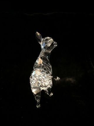 Swarovski Crystal Figurine Fawn Deer Standing 3