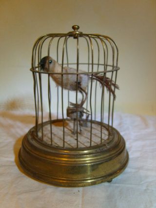 German Rensie Mechanical Bird In A Cage Musical Alarm Clock