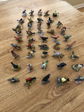 Vintage Royal Cornwall Miniature Porcelain Birds 44 Birds