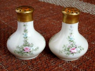 Antique Limoge Porcelain Hand Painted Salt & Pepper Shakers