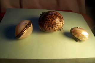 3 Vintage Sea Shell Trinket Boxes - Coin Purses,  L - C 13