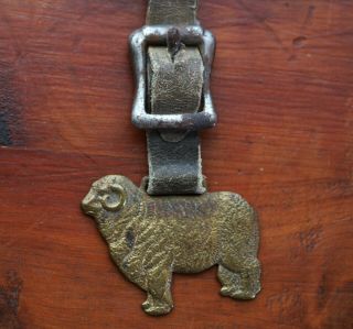 Antique Farm Brass Sheep With Leather And Buckle Advertisement For Ogden Stockya
