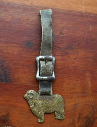 Antique Farm Brass sheep with Leather and Buckle Advertisement for Ogden Stockya 2