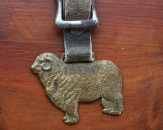 Antique Farm Brass sheep with Leather and Buckle Advertisement for Ogden Stockya 3