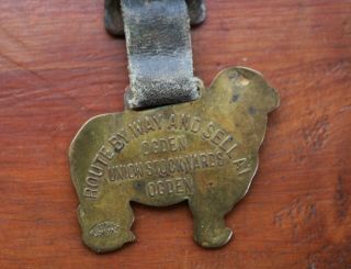 Antique Farm Brass sheep with Leather and Buckle Advertisement for Ogden Stockya 4