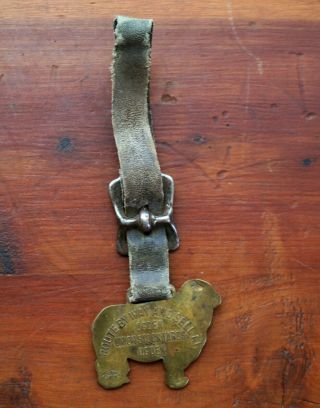 Antique Farm Brass sheep with Leather and Buckle Advertisement for Ogden Stockya 5