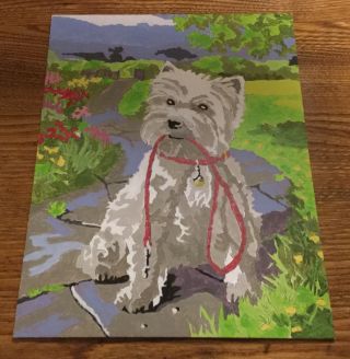 Finished White Yorkie Dog Paint By Number 8 1/2” By 11” Time For A Walk