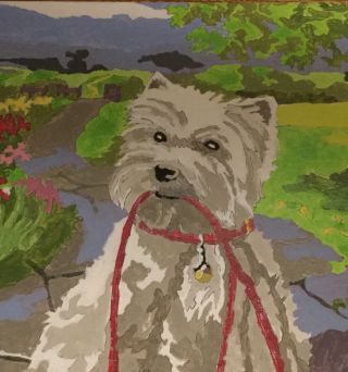 Finished White Yorkie Dog Paint by Number 8 1/2” by 11” Time for a Walk 2