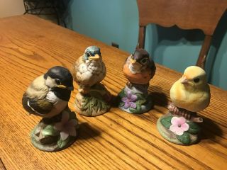 Vintage Set Of 4 Andrea By Sadek Porcelain Bird Figurines Canary,  Robin,  Chickadee