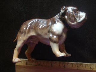 Vintage Royal Doulton Boxer Dog - Bone China Dog Figurine - 4 1/2 " - 5 ".