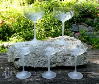 Five Avon Humming Bird Champagne Glasses Frosted Stems Etched Design W/o Box