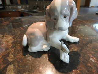 Lladro Porcelain Beagle Puppy Dog W/snail Figurine 6 "