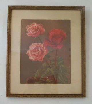 Vtg Antique Multi - Color Rose Flowers In Vase Floral Art Print - Wood Frame 12 "