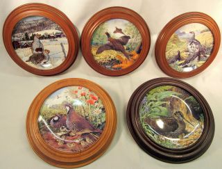 5 Limited Edition Royal Grafton Knowles Plates Wood Frames Game Birds Fine China
