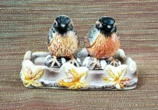 Collectible Ganz Robin Salt And Pepper Shakers W/tray - Birds On Snowy Logs