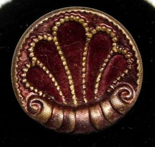 Antique Vtg Button Victorian Shell In Burgundy Red Velvet Brass Perfume 9/16 T