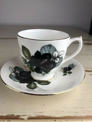 Elizabethan Vintage Cup & Saucer Set Black Rose Taylor & Kent England