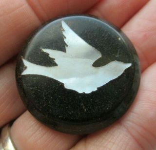 Large Antique Vtg 19th C Carved Horn Inlay Button Mop Shell Bird (p)