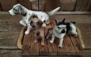 Champion Dogs English Setter Dachshund Boston Terrier Vtg Napco Japan Figurines