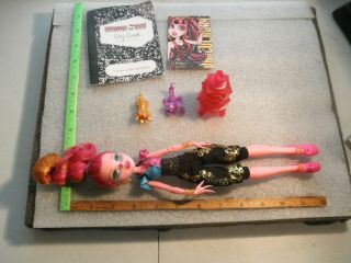 Monster High Gigi Grant 13 Wishes Doll Diary,  Pet,  Card,  Accessories