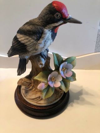 Downy Woodpecker By Andrea By Sadek,  9386,  Porcelain Bird Figurine - Wood Stand