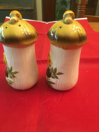 Vintage Sears Merry Mushroom Salt & Pepper Shakers 2