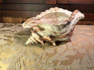 Vintage Glossy Ceramic Conch Sea Shell Planter Nautical Decor