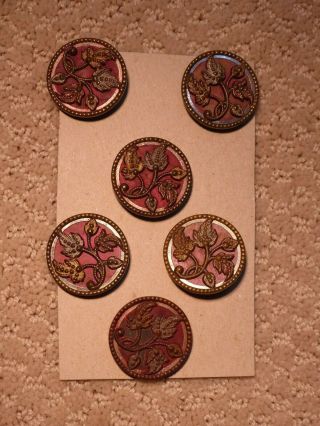 Set 6 Antique 1 1/4 " Brass Picture Buttons Foliate Design On Red W.  White Collar