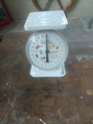 Vintage Antique American Family Kitchen Scale