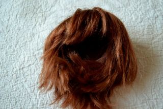 Vintage Short Auburn Human Hair Doll Wig Boy Or Girl Bisque Or Bjd Sewn In Cap