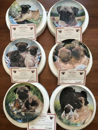 Danbury Pug Plates Limited Edition Collector Plates Set Of 6 - Simon Mendez