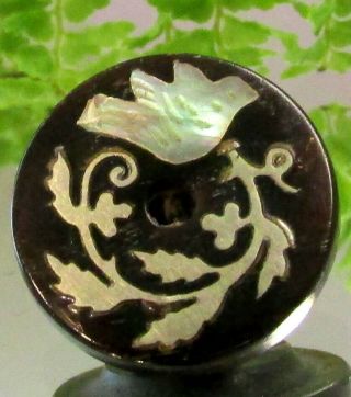 Lovely Victorian Horn Button W/ Inlaid Pearl Bird & Foliage E26